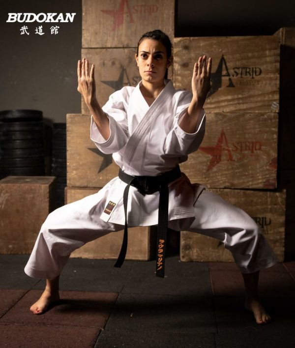 Karategi Pesado Budokan
