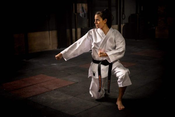 Karategi Pesado Budokan - Imagen 2