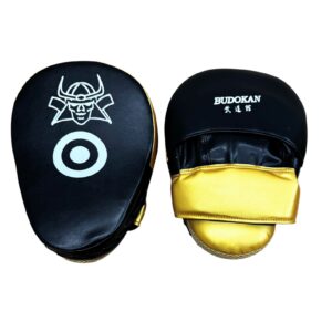 Guantes de Foco Budokan Importado (par)